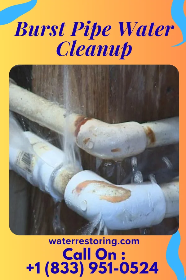 Burst Pipe Water Cleanup in Johnstown, NY