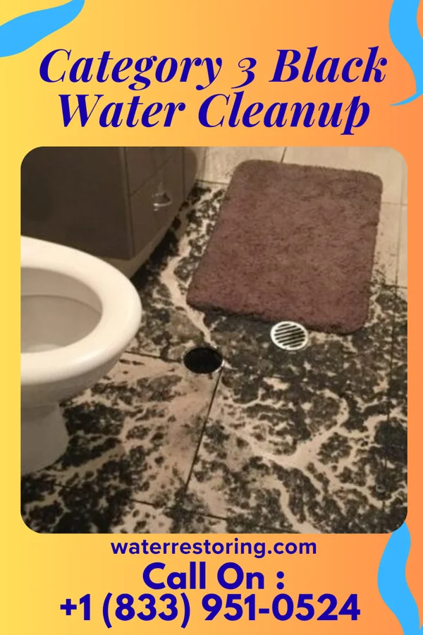 Category 3 Black Water Cleanup in Johnstown, NY