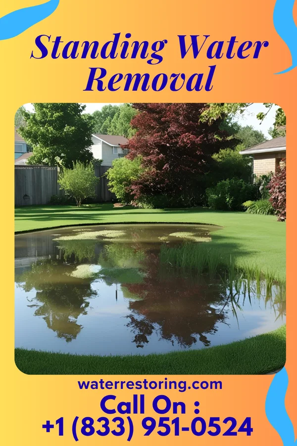 Standing Water Removal in Johnstown, NY